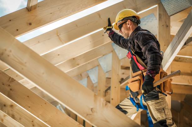 Best Roof Gutter Cleaning  in South Amherst, OH