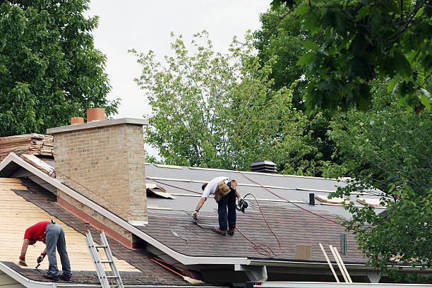 Best Flat Roof Repair Services  in South Amherst, OH