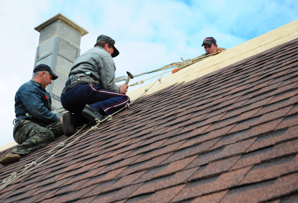 Best Metal Roofing Contractor  in South Amherst, OH